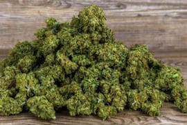Soutenez l'agriculture française en achetant des fleurs de CBD légales !