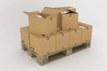 Palettes en plastique ou en bois : laquelle est plus rentable ?