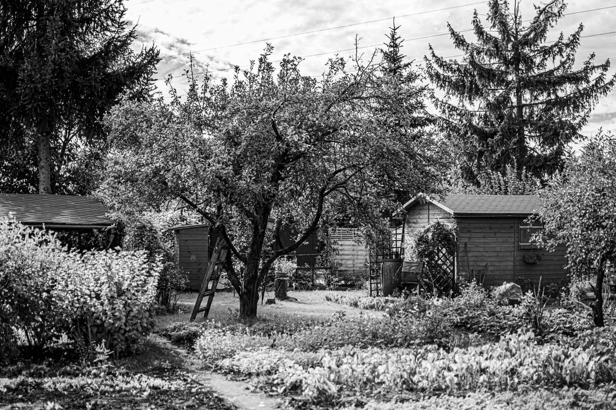 Abri de jardin aluminium